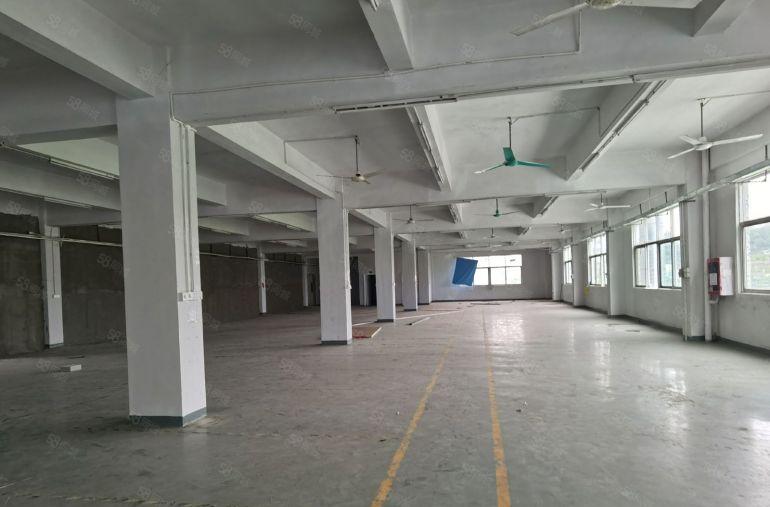 龙岗宝龙同乐工业区红本厂房2600平出租场地大易招工可办环评