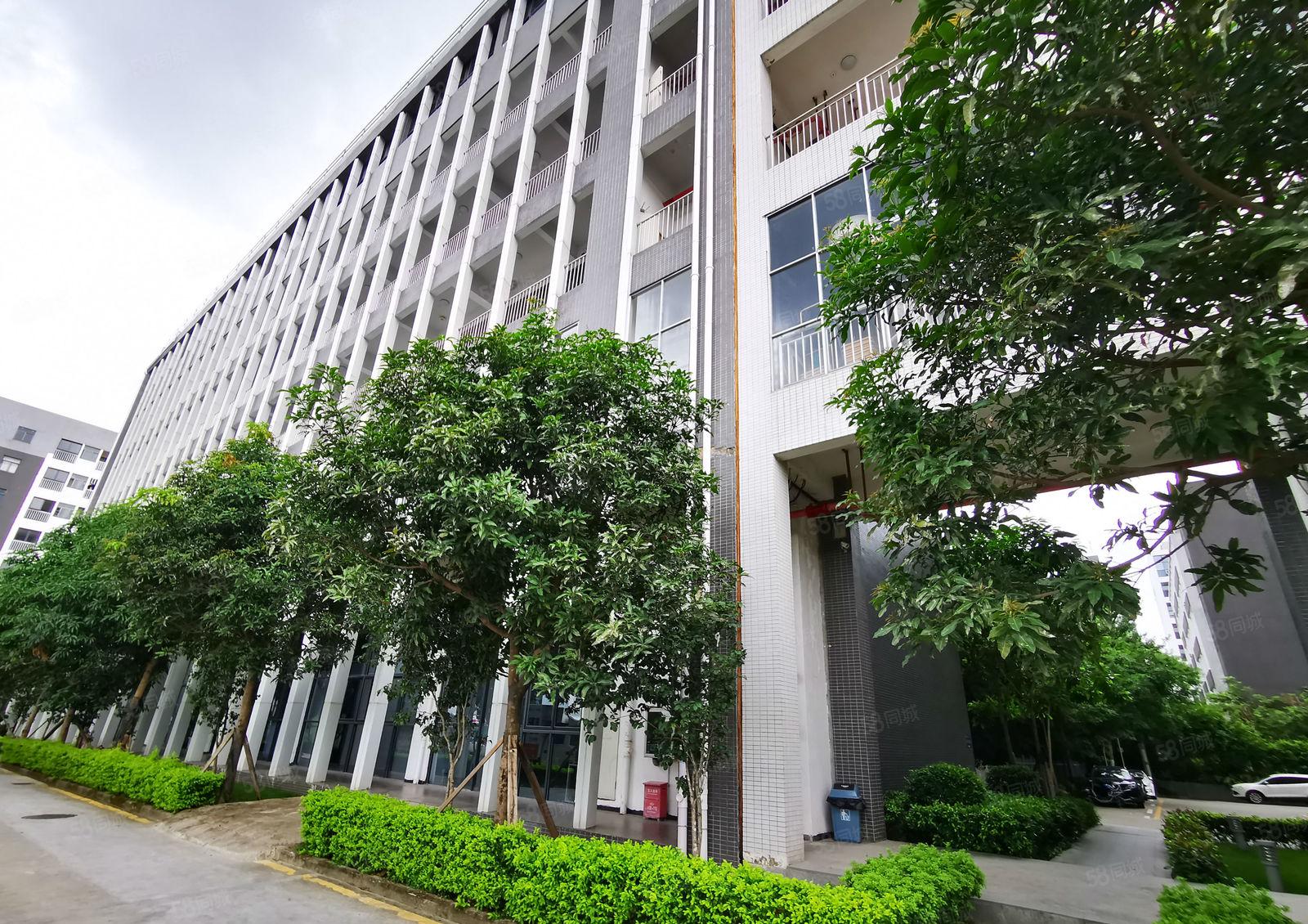 原房东！坂田5仟平独栋，带装修可分租，办公厂房仓库低价出租