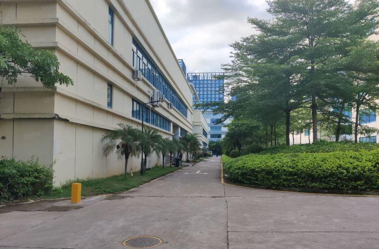 坪地坪西红本1500平精装修办公室加车间厂房超低价16元出租