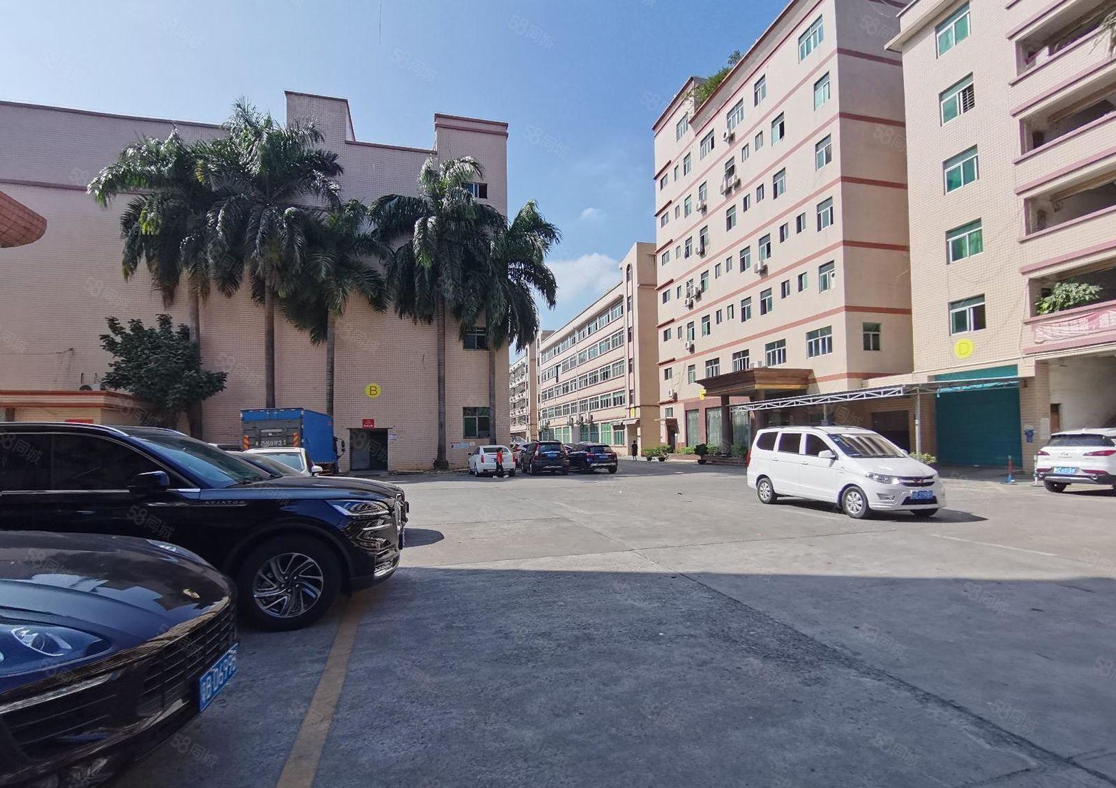 坪山高新区1000平至5000平一二楼仓库厂房出租独院可分租