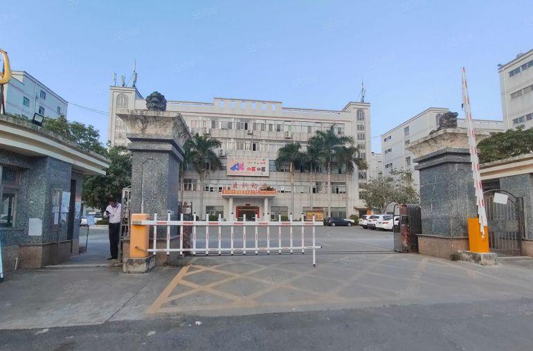 平湖辅城坳原房东精装修1000平办公室加无尘车间厂房低价出租