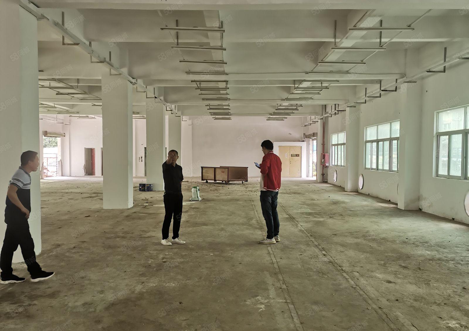 L龙岗宝龙科技园13元1600平出租，可分租