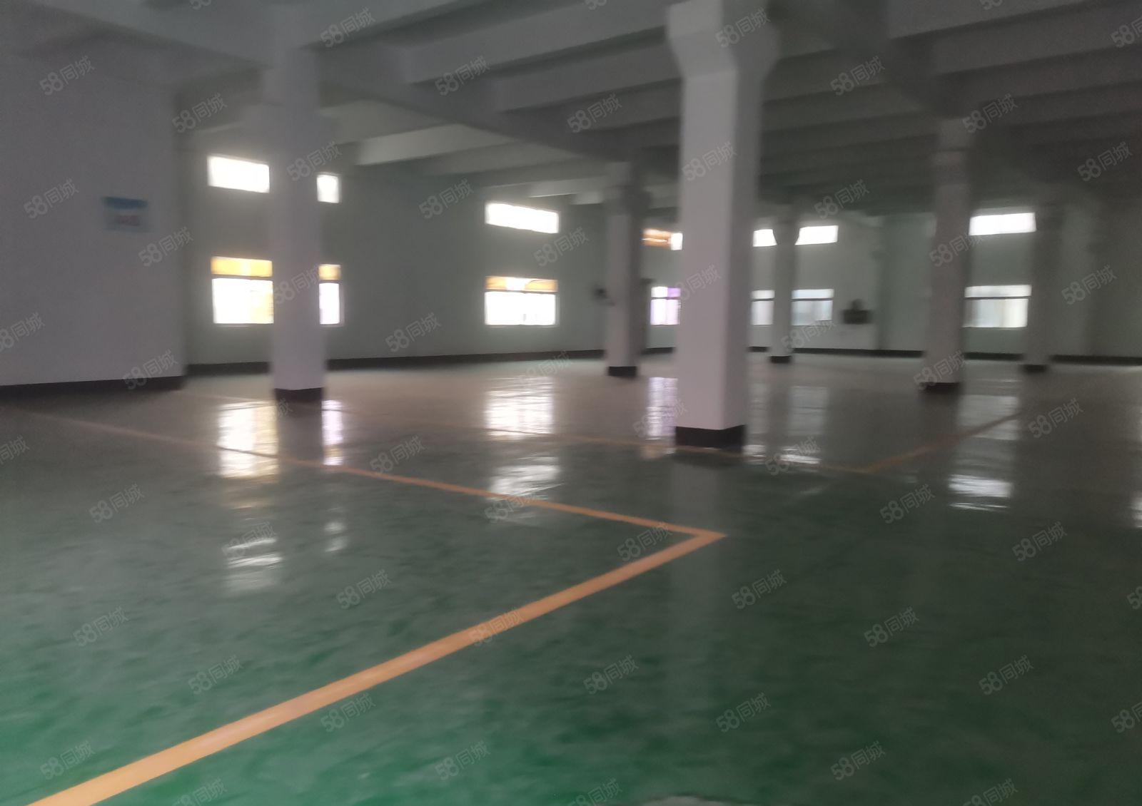 平湖富民标准一楼2000平方带牛角厂房出租