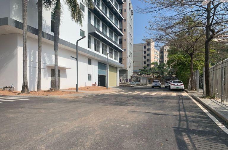 空地超大，坂田一楼2000平厂房出租仓库出租物流仓库可分