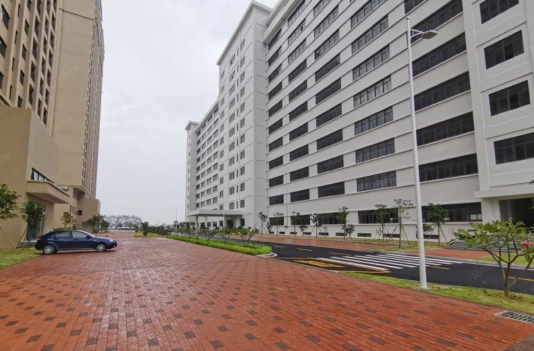 （租）横岗大型产业园原房东出租免租期12个月起 研发办公仓库