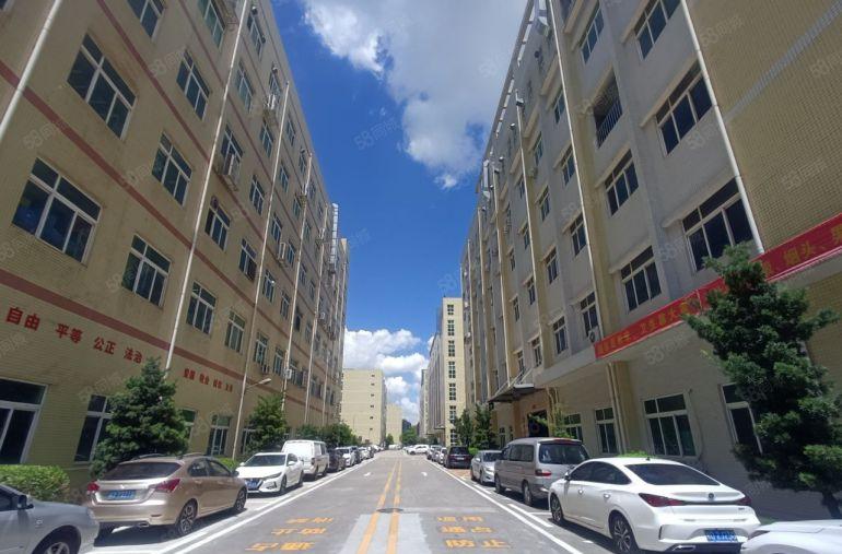 宝龙原房东科技园新出一楼2000平方全新地坪漆红本厂房出租