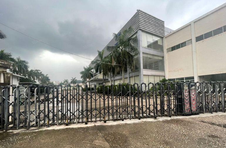 龙岗中心地带，罕见12米钢构，各行各业来