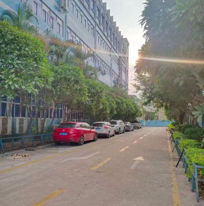 龙岗区同乐一楼300平方豪华装修小面积厂房出租