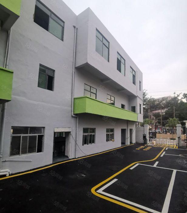 横岗六约小面积电商珠宝厂房60至600平方米招租