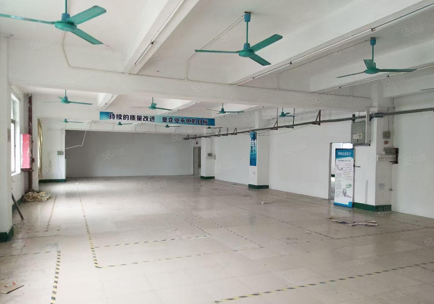 龙岗镇龙东红本二楼厂房1250平方米可分租现成水电有电梯