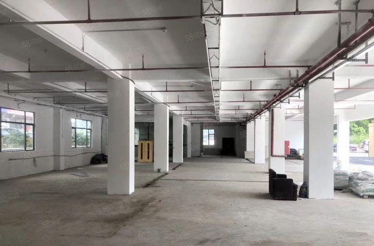 坂田厂房出租1楼至6楼200平起租可办公物流仓库汽修展厅等