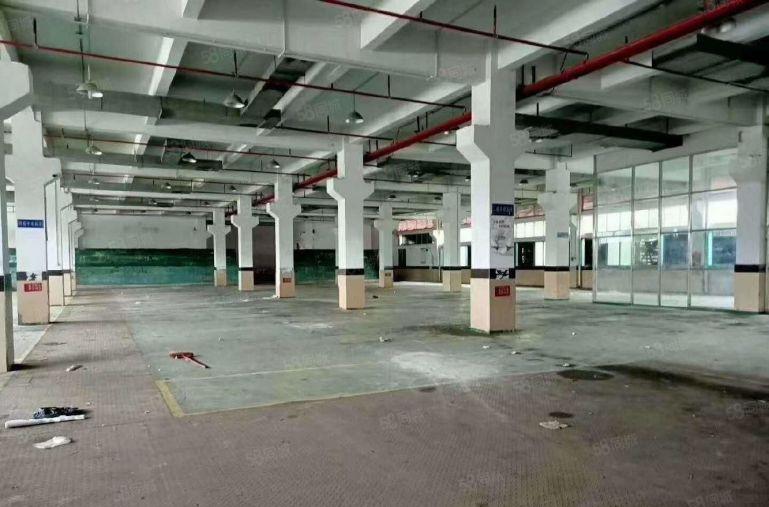 龙岗南联工业区一楼2000平仓库厂房出租 500平起分租