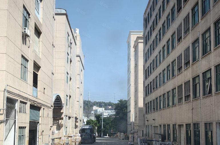 坂田原房东红本厂房出租整层精装修1360平方实际面积房东直租