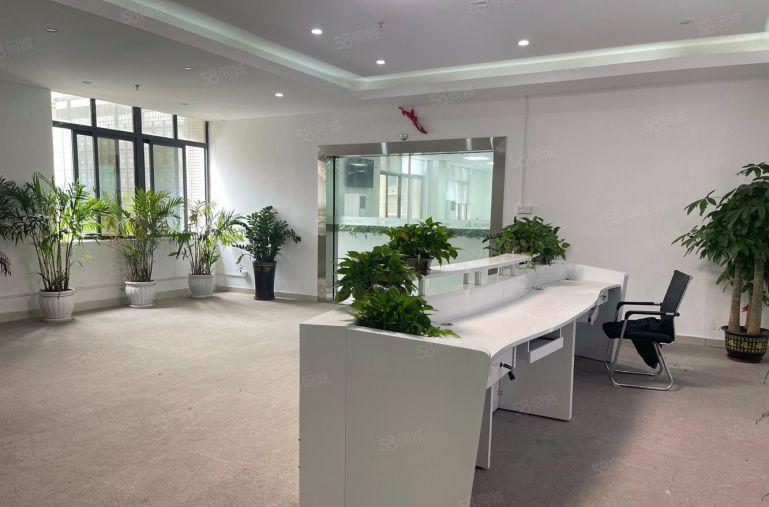 龙岗中心城花园式厂房转租800平精装办公加仓库 红本厂房出租