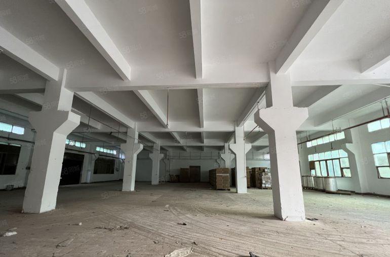 同乐原房东一楼厂房1200平方仓库出租带牛角空地大好招工