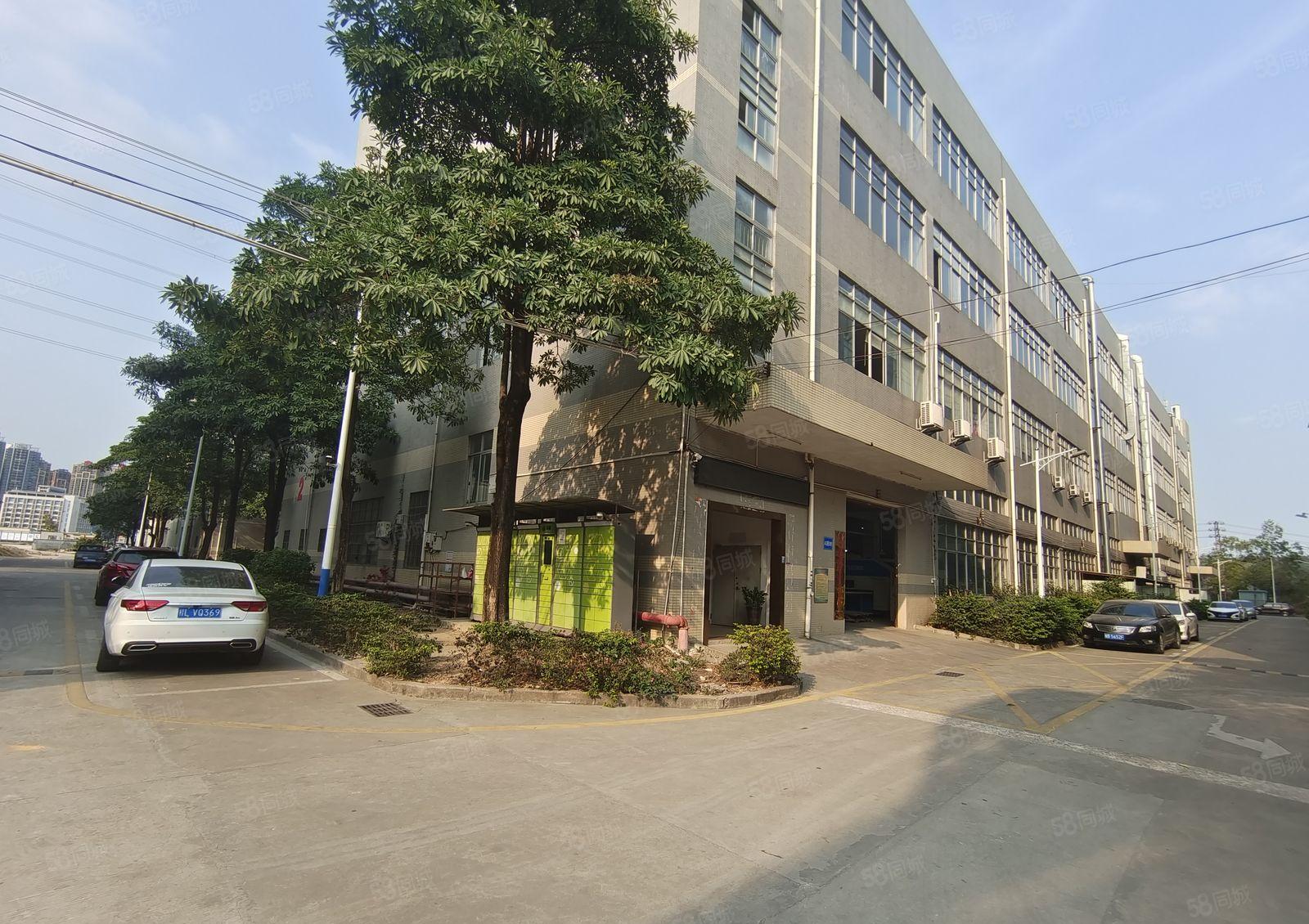 坪地外环高速旁原房东楼上2000平带精装修办公室仓库厂房出租