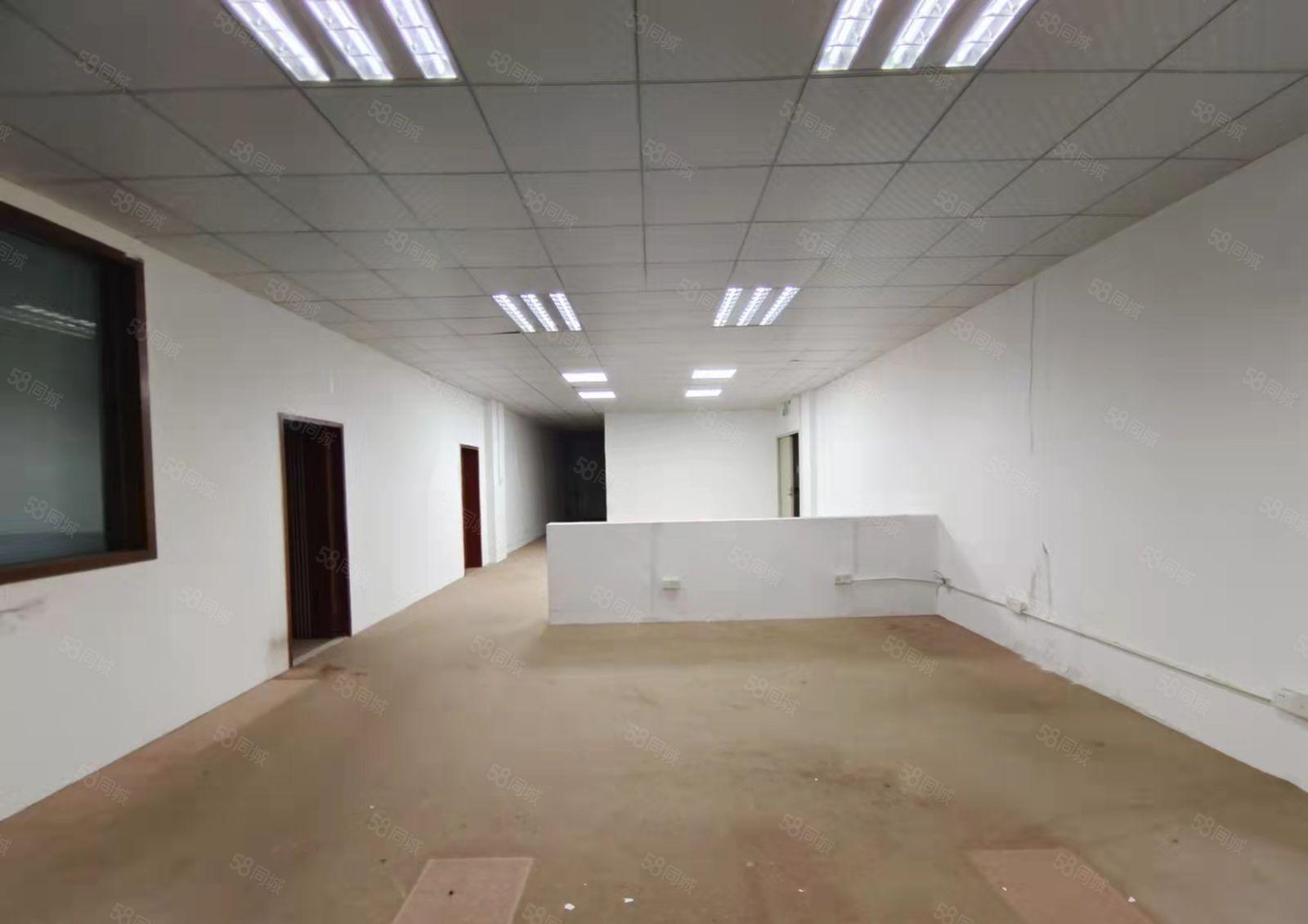 坂田阪李大道新出整层厂房1300平招租，带装修面积实在