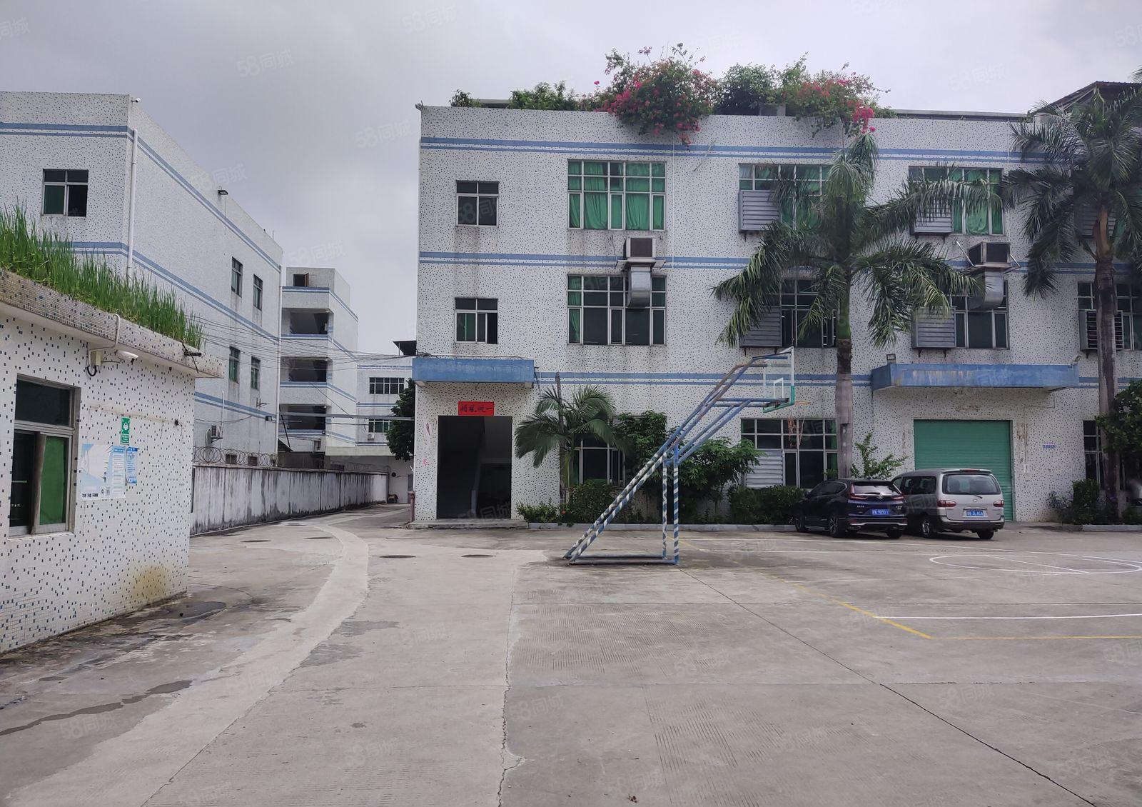 平湖富民工业园区独院2百5百8百1千平一楼仓库厂房出租可分租