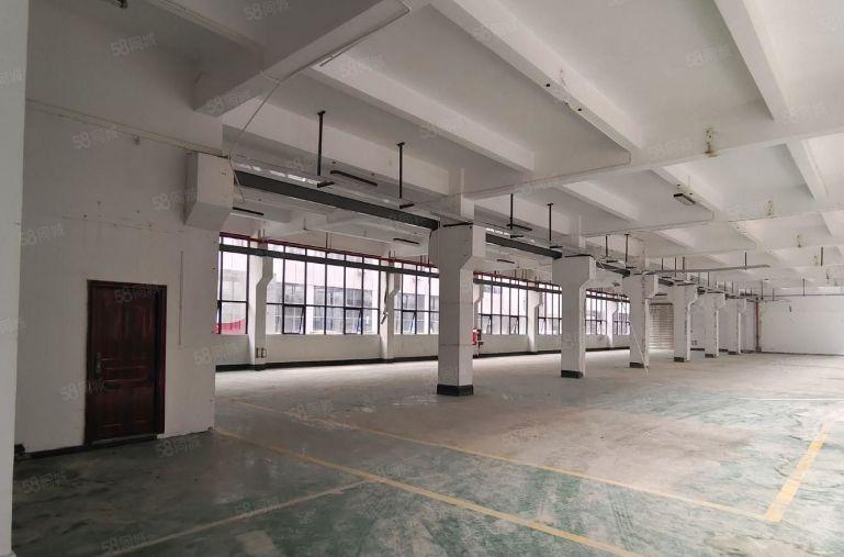 出租横岗厂房装修好的6000平方厂房带现成办精装公室出租