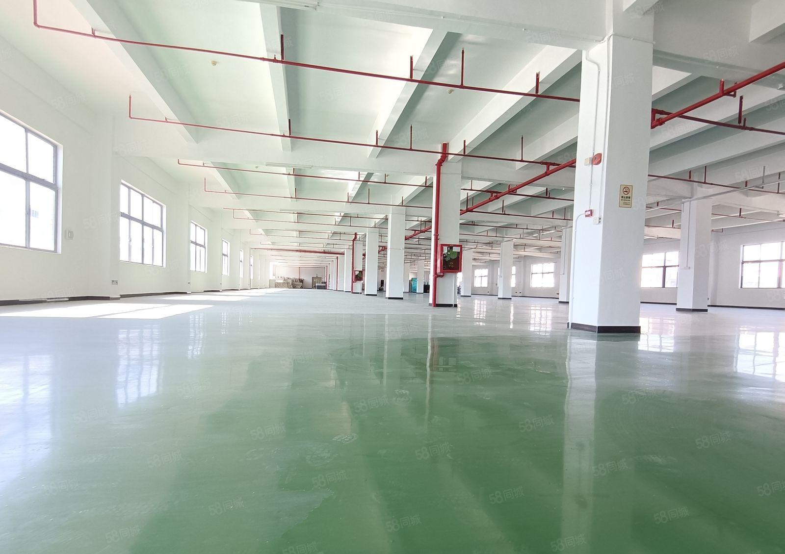 宝龙工业园独栋12000低价300平起分租带装修厂房仓库出租