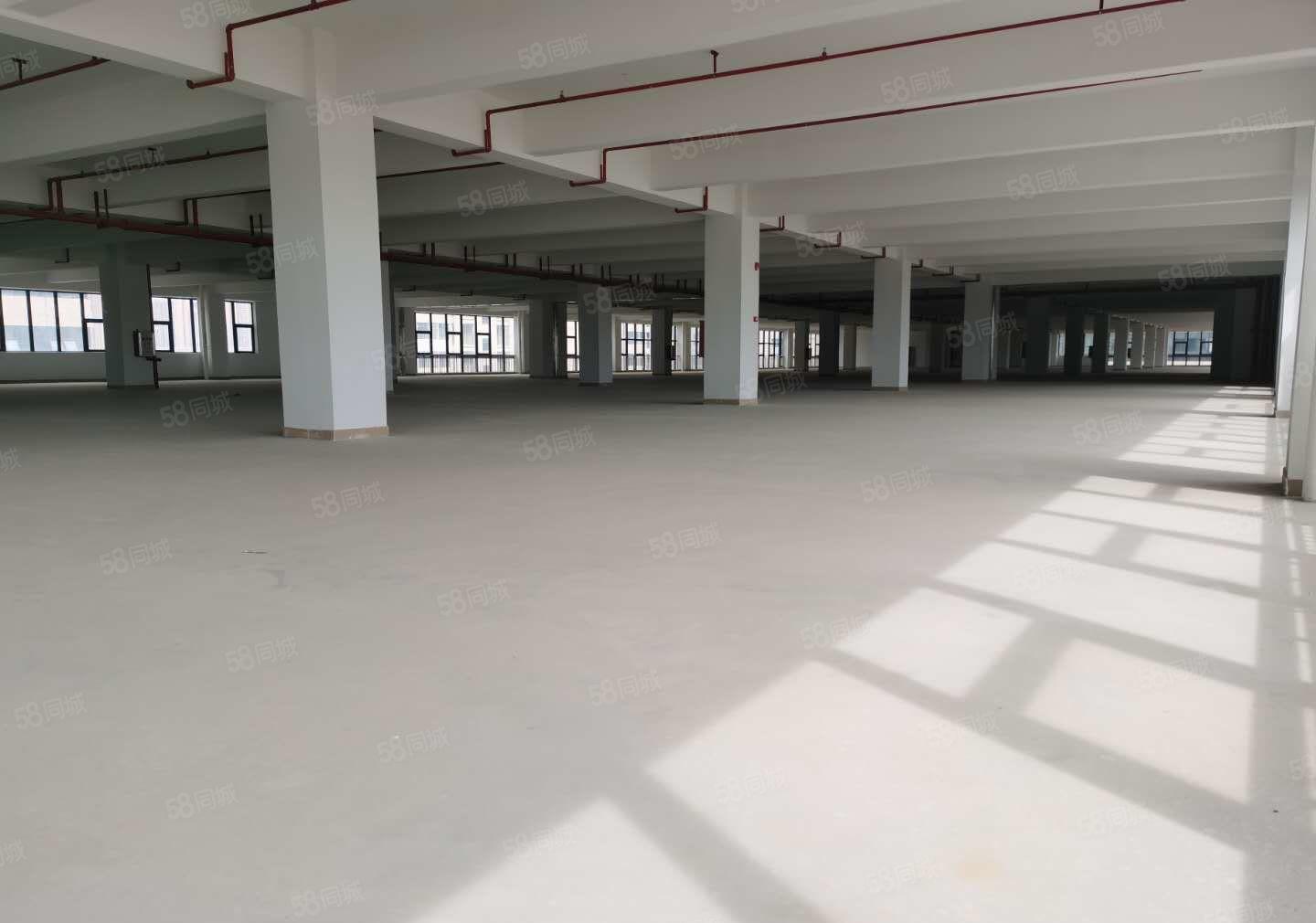 25元起租华南城附近厂房仓库出租近高速口工业园易招工