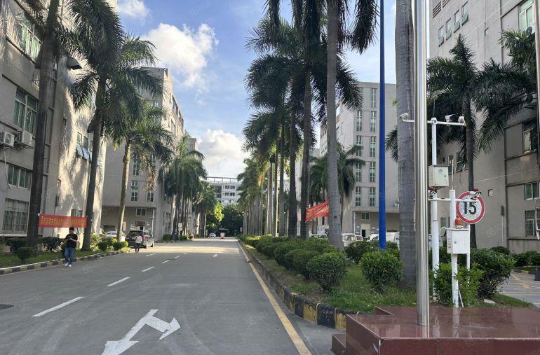 20元租坪地高桥原房东科技园1000平带装修办公仓库厂房出租