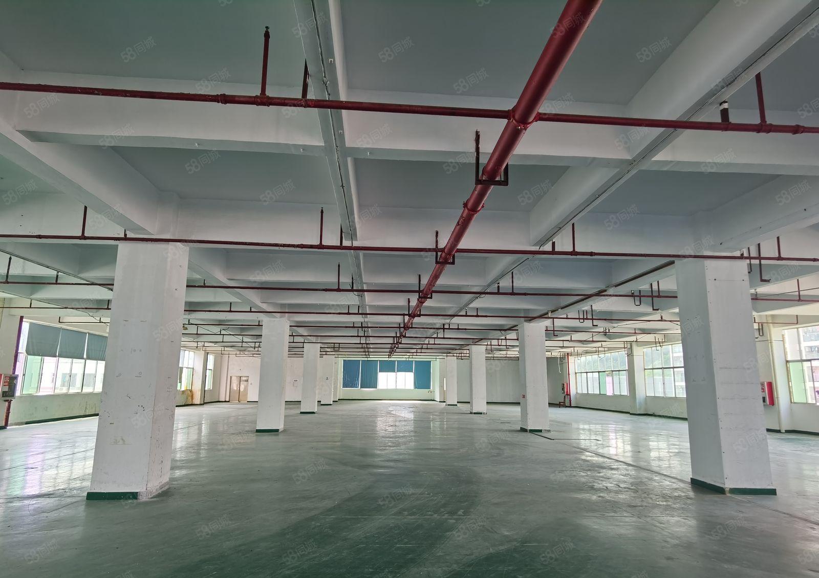 15元起！1000平起分租！坪地富民工业区2200平厂房出租