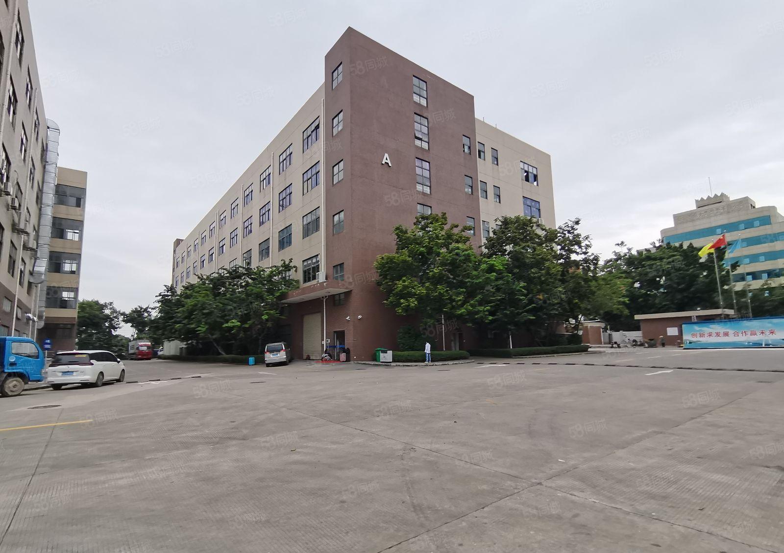 坂田杨美地铁口，电商园厂房小面积150平起至1000平。