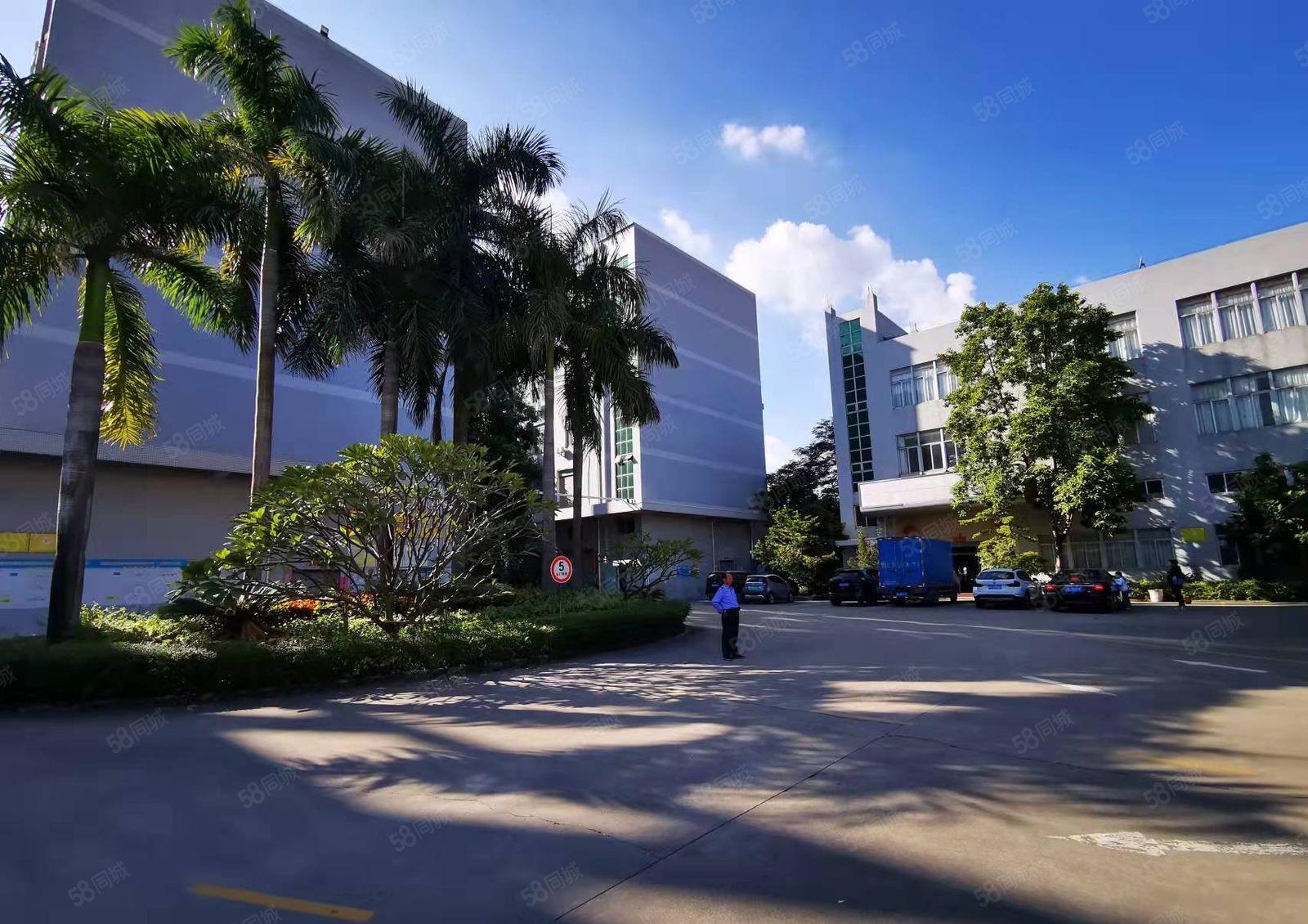 龙岗宝龙科技园精装修楼原房东5000平红本厂房出租