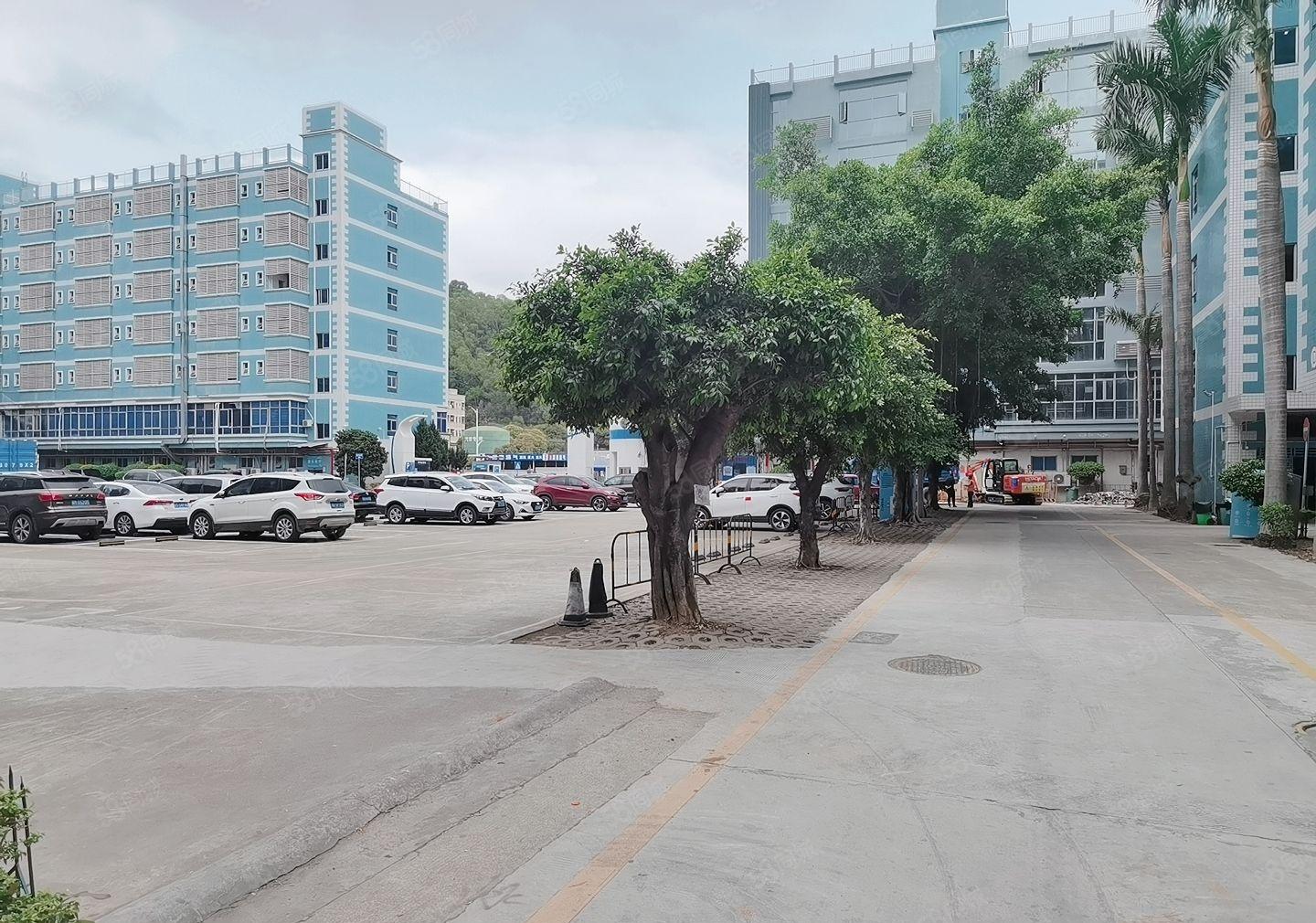 300平起分南联原房东一楼二楼各1000平方水电齐全 精装修