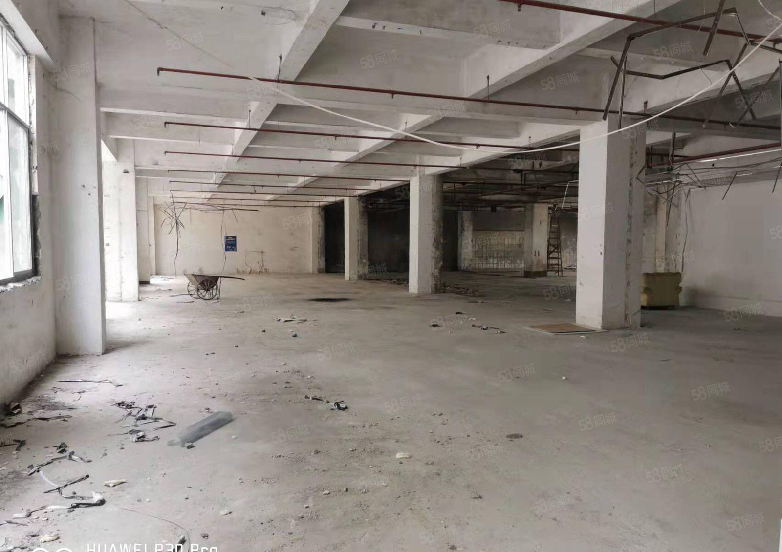 坂田雪象，整栋11500平方，可以分租，一共4层！