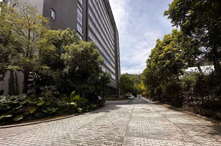 龙岗宝龙独院厂房20000平出租，200平起租 可分租