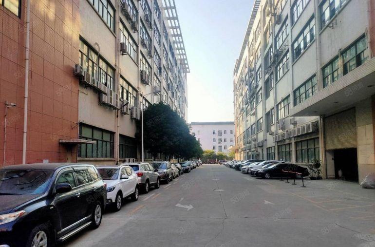 坂田红本工业厂房出租 2000平可分租 工业园一楼仓库出租