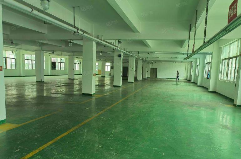 平湖辅城坳新出二楼1350平方厂房仓库出租分租形象好交通便利