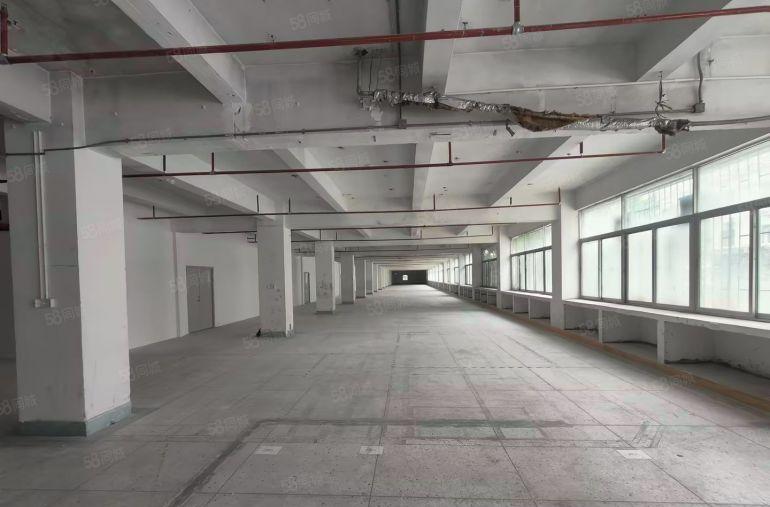 大芬地铁口 800平整租 油画村 房东直租