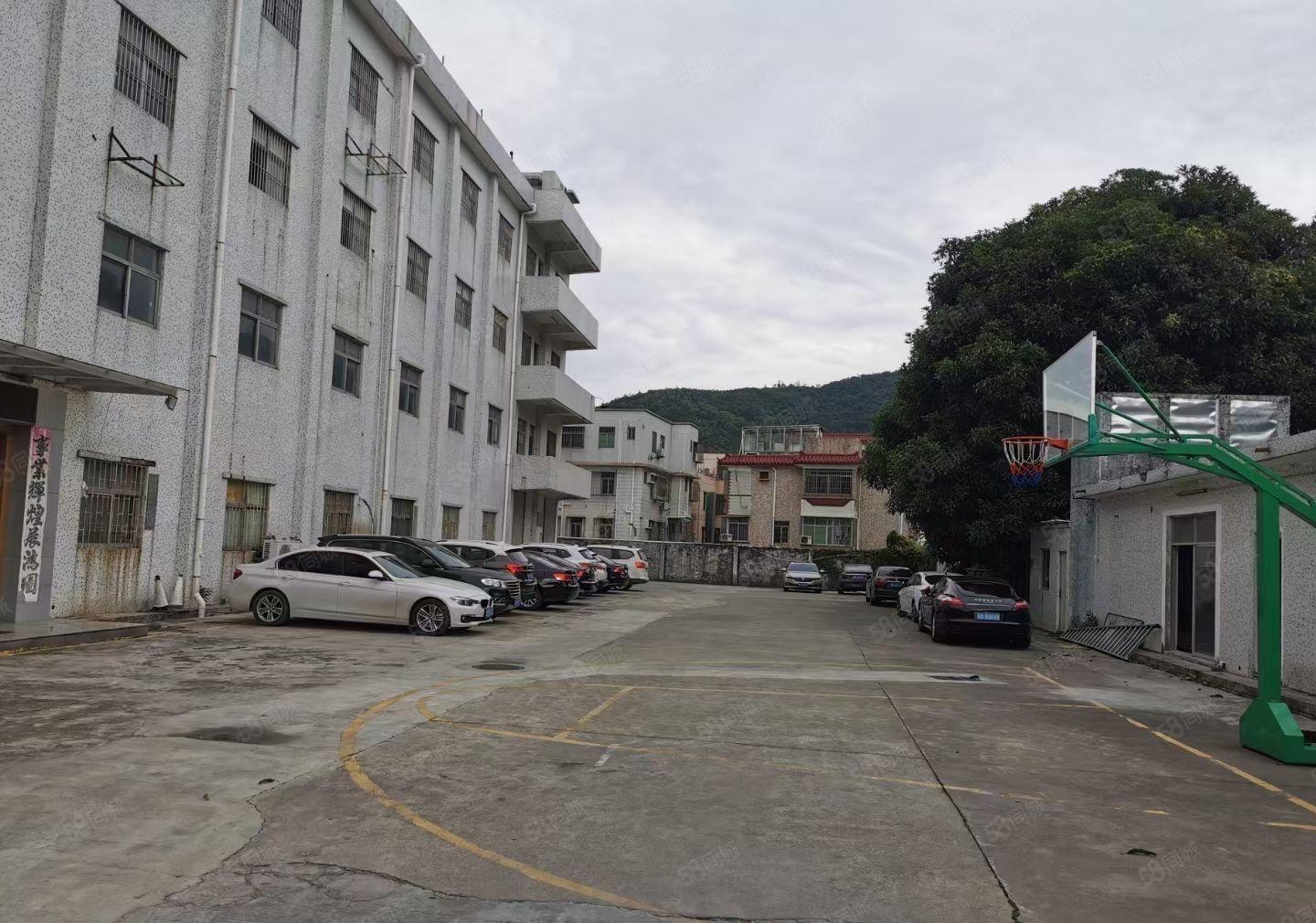 西坑独院厂房出租大小分租