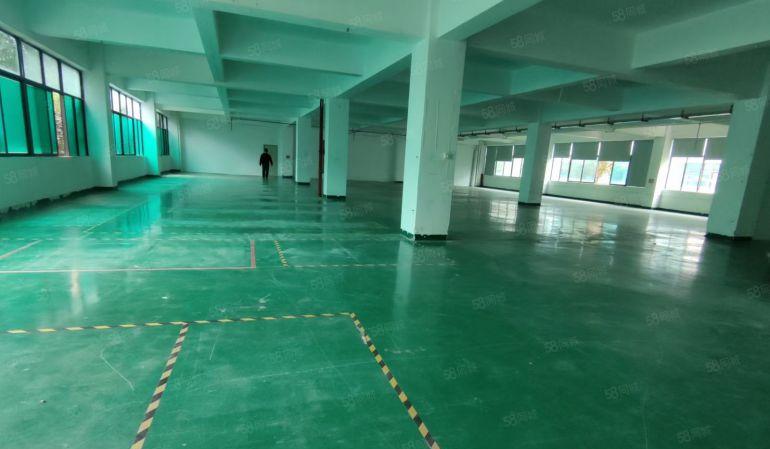 龙岗区坪地坪西原房东独门独户标准厂房7500平米厂房出租可分