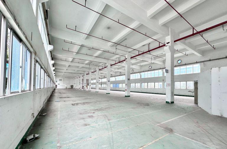 布吉百鸽笼工业区一楼7米高2400平厂房写字楼仓库出租可分租