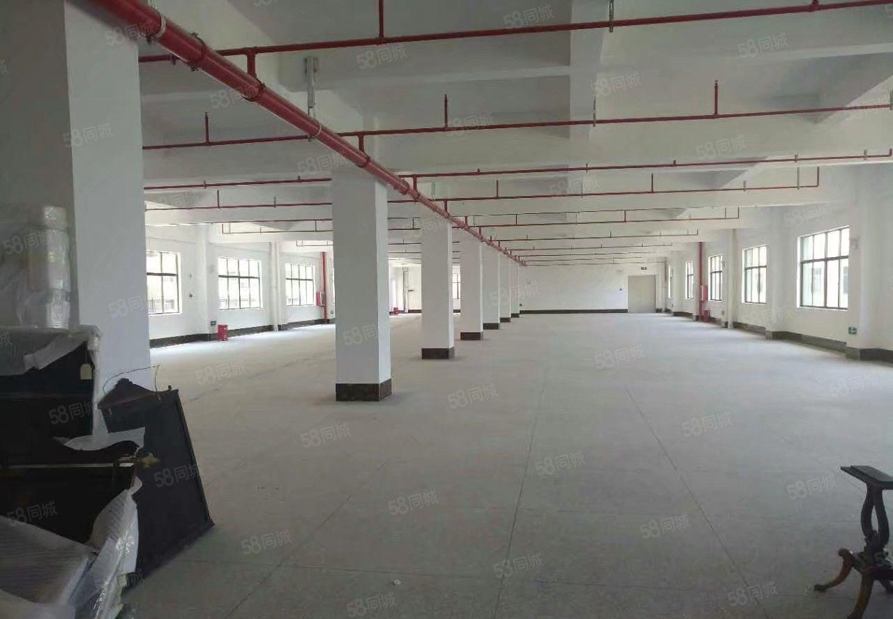 S龙岗独院厂房5000平方可以分租