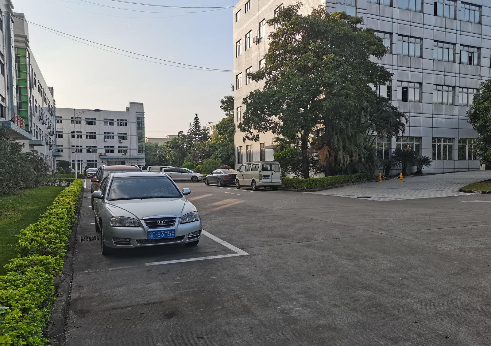 龙东爱南路独栋装修1000平厂房出租可做汽修展厅等行业可分租