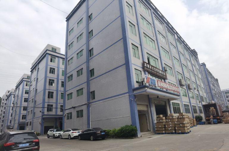 坂田上雪1200平原房东厂房实际面出租，现成精装办公室跟车间