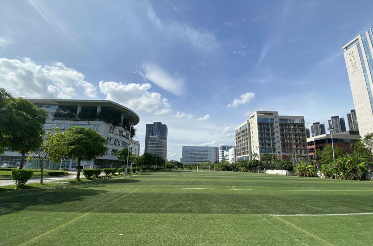 超长免租层高6米宝龙原房东工业区一楼2000平方仓库厂房出租