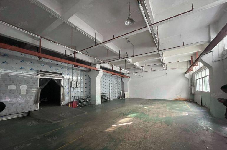 坂田杨美地铁口一楼仓库带冻库400平 原房东使用率高