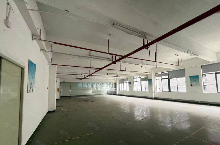 房东直租标准厂房2000平米可分租带20台充电桩车位充足