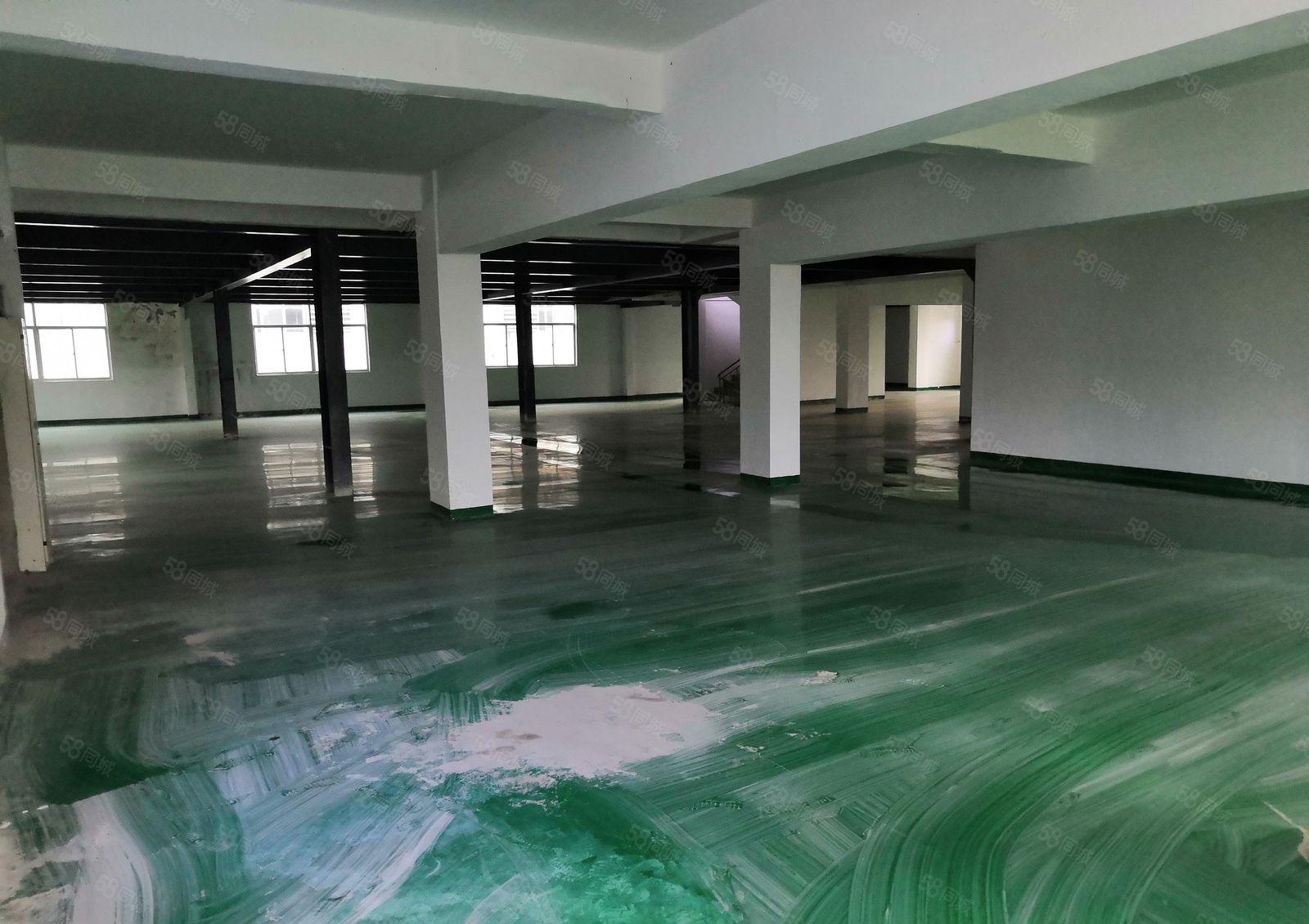 龙岗镇同乐二楼650平方三楼1200平方分租价格15元