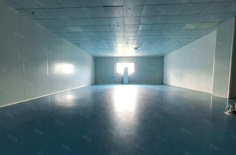 龙岗宝龙原房东无尘车间厂房出租500平起工业园工业仓库精装修