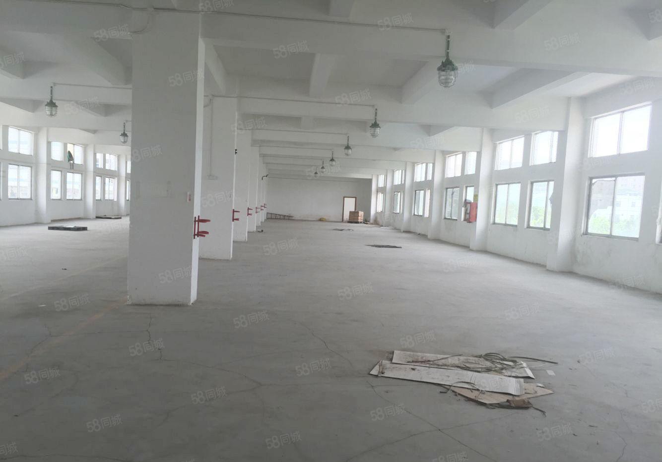 龙岗原房东独门独院厂房出租4200平5500平9500平8套