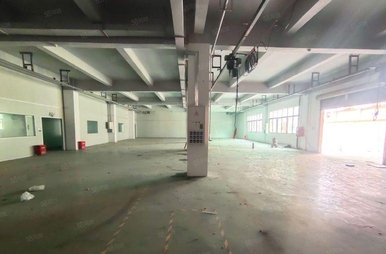 原房东无公摊！龙岗宝龙一楼新出2千平厂房仓库出租5百平起分租