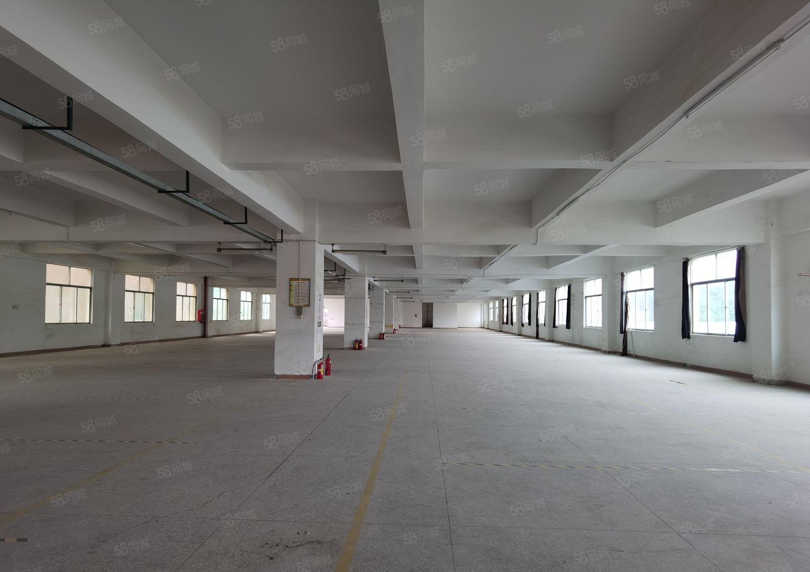 带红本！空地大！高速口！龙岗独院11000平米厂房出租