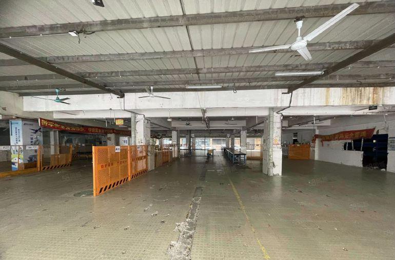 龙岗中心城，1 楼整层，2800 平，前后可进大货车。